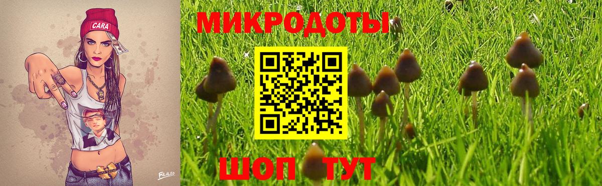 Псилоцибиновые грибы мицелий  Вход с VPN  Комсомольск-на-Амуре 
